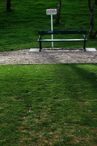 Bench on the tee